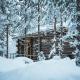 Log Cabin with Private Sauna by Invisible Forest Lodge & Spa Rovaniemi - Zdjęcie 2