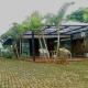 Kham Ecolodge Chiang Saen - Foto 4