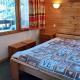 Studio divisible, près des pistes, animaux admis - FR-1-356-476, Valmorel - Foto 4