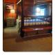 Pine Ridge Ranch Bear Hollow, Allentown (fotografie 10)