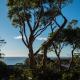 Ocean Views Walk to Malua Beach EV & Pet Friendly, Malua Bay - Fotografie 9