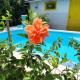 MANDALA DREAMS Pousada e Portal Holístico, Maceio - 写真 10