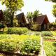 Buon'S garden, Buôn Kao