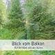 BÄCHLE im Wanderparadies Balkon mit Blick auf den Bach Sauna im Haus Tiefgarage E-Ladestation, Todtnauberg - Fotografie 10