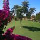La casa rosa, El Palmar (fotografie 3)