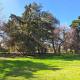 Quinta Pinar de Robles, Torres (fotografie 2)