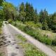 Urlaub mit der ganzen Familie im Ferienhaus in der Natur, Diemelsee - Photo 3