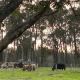 DONN4254S - Wilga Farm Stay - Shearer's Shack Single, Boyup Brook - Fotografie 6