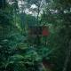 Eterno Camellia & Elettaria Resort with Pool, Munnar - Foto 7