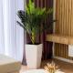 Boulevard Apartment, Tirana - Photo 7