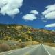 The Mountain House - An Oasis in Town! Summer Sleeps 10!, Leadville (photo 3)