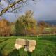 Terres de la Grange, Cuisiat (fotografie 7)