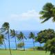 Maui Eldorado Condo K206, Kaanapali (Foto 10)
