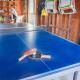 15556 - Walk to Skaket Beach or Bike to Rail Trail w Outdoor Shower SUP Board Ping Pong Table, Orleans - Fotografie 5