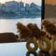 A great nile view apartment-1, Cairo - Foto 5