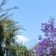 Allamanda House Meru, Arusha (foto 3)