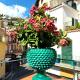 Le Pigne House with terrace in Taormina centre, Taormina