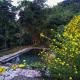 Petrichor Forest Retreat, Gorubathān - 写真 10
