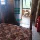 Paradise Point Villas, Castara (Foto 10)