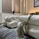 NOA Luxury Apartment, Bitola (fotografie 9)