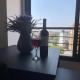 Apartamento Parque Real, Castellón de la Plana (fotografie 10)