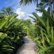 Eden Paradise Spa Ecolodge, Sainte-Luce