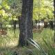 Tranquility 2 bedroom Villa by the lake with green backyard, Staley (фото 9)