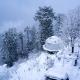 GlampEco Manali, Manāli - Foto 10
