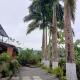 Palmerai BUCAY, Cumanda (photo 10)