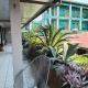Hotel La Vid La Fortuna, Fortuna - Foto 4
