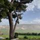 Baglio Silvestro, Crocevie (Foto 4)