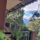 Seven Hills Homestay, Kalimpong - Foto 6