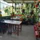 Seven Hills Homestay, Kalimpong - Foto 4