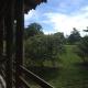 Villa Pura Vida, Sándalo (Foto 3)