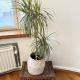HAKANIEMI luxury apartment Helsinki center, 24h check in, Helsinki (photo 6)