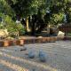 Villa Saint Martin, Malemort-du-Comtat (foto 4)