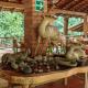 Jorullo Paradise, Puerto Vallarta (fotografie 9)