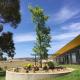 Barossa Pavilions & Glasshouse Lyndoch - Photo 5