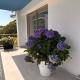 Manon B&B, Roquebrune-Cap-Martin - Photo 8