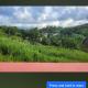 Natrue's Haven, Marigot (fotografie 5)