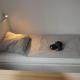 LeHaStays - Gruppenapartment Cracau, Magdeburg (photo 5)