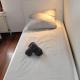 LeHaStays - Gruppenapartment Cracau, Magdeburg (photo 7)