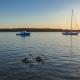 Koala Lodge Studio 1, Iluka (foto 5)