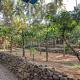 Peno Homestay, Sumberbuluh (fotografie 9)