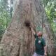 Wild Paradise Guest House & Jungle Trekking Booking With Us, Bukit Lawang - Foto 8