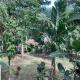 Khlong sok camp, Ban Chieo Mon (foto 10)