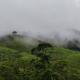 Winter Woods Vagamon - Foto 10