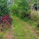 farmer homestay yercaud, Yercaud - Foto 7