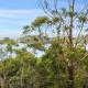 High View House - Views over Pirates Bay Eaglehawk Neck - Foto 3