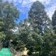 Khlong sok camp, Ban Chieo Mon (foto 9)